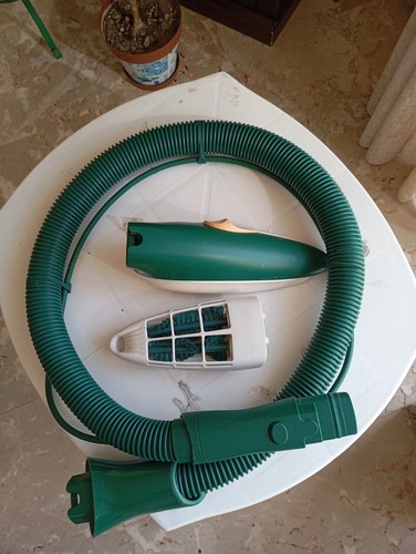 Picchio folletto 420 - picchio,