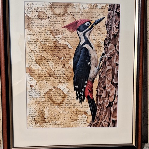 Quadro picchio rosso - quadro,